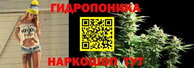 СК Долгопрудный